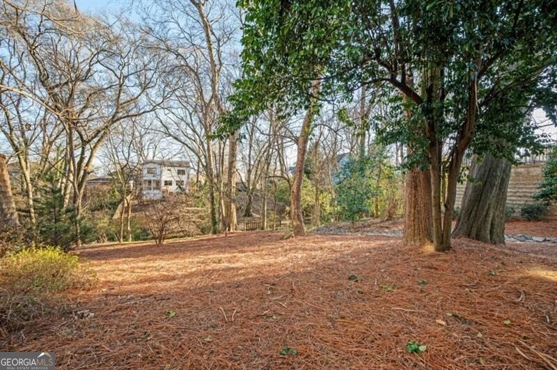 2003 Mahogony Lane Atlanta - Photo 36