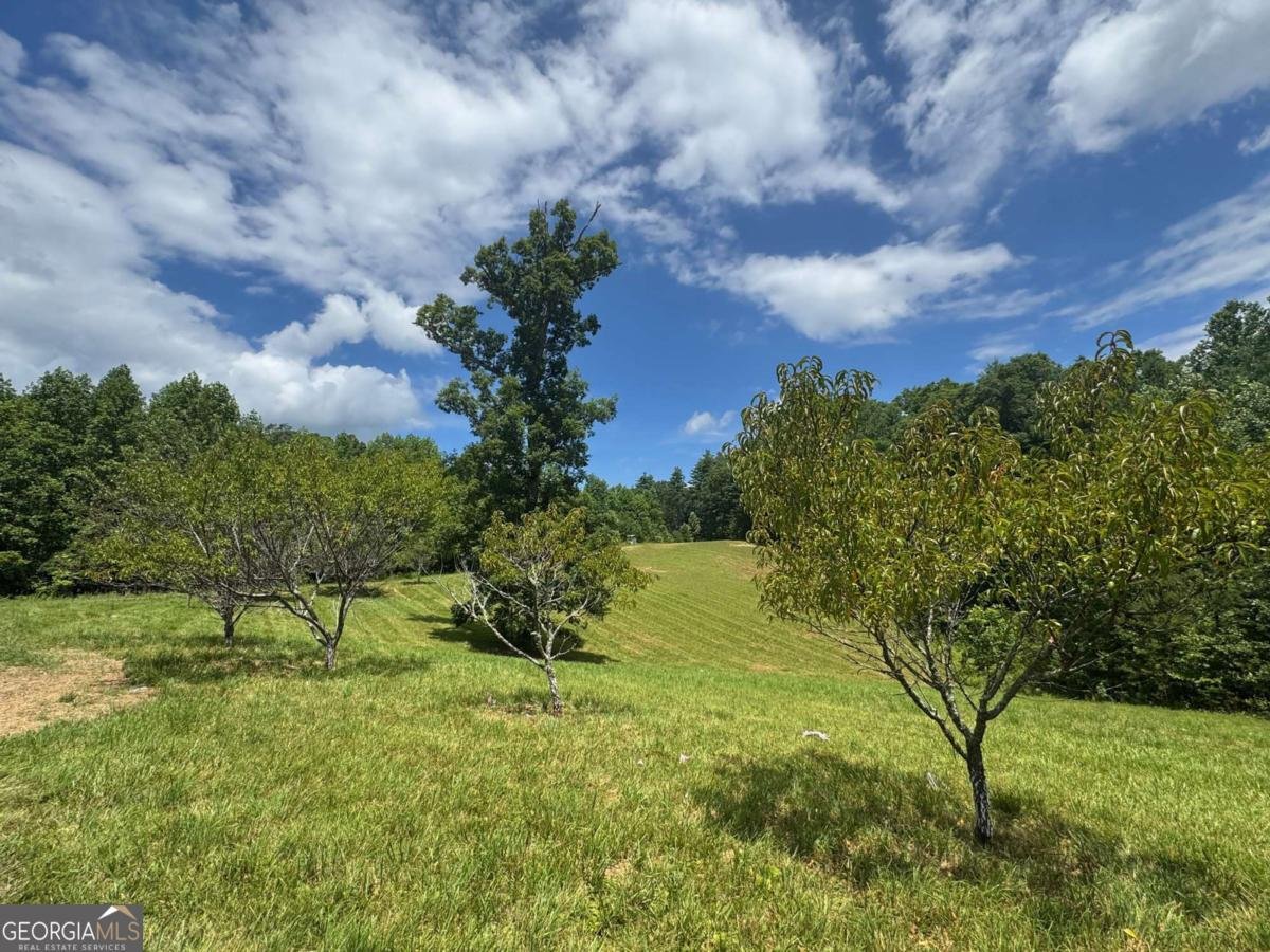 89 Simmons Ridge Mineral Bluff - Photo 7