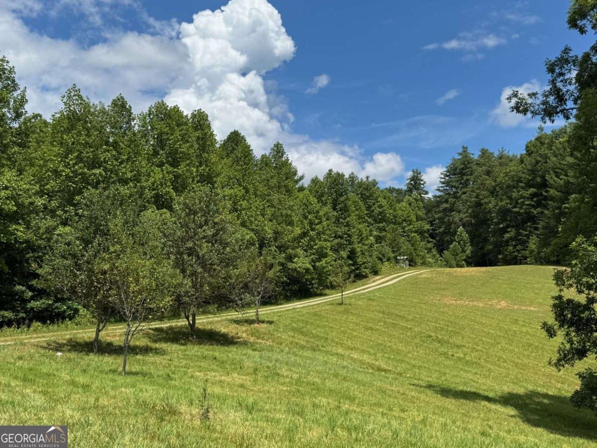 89 Simmons Ridge Mineral Bluff - Photo 8