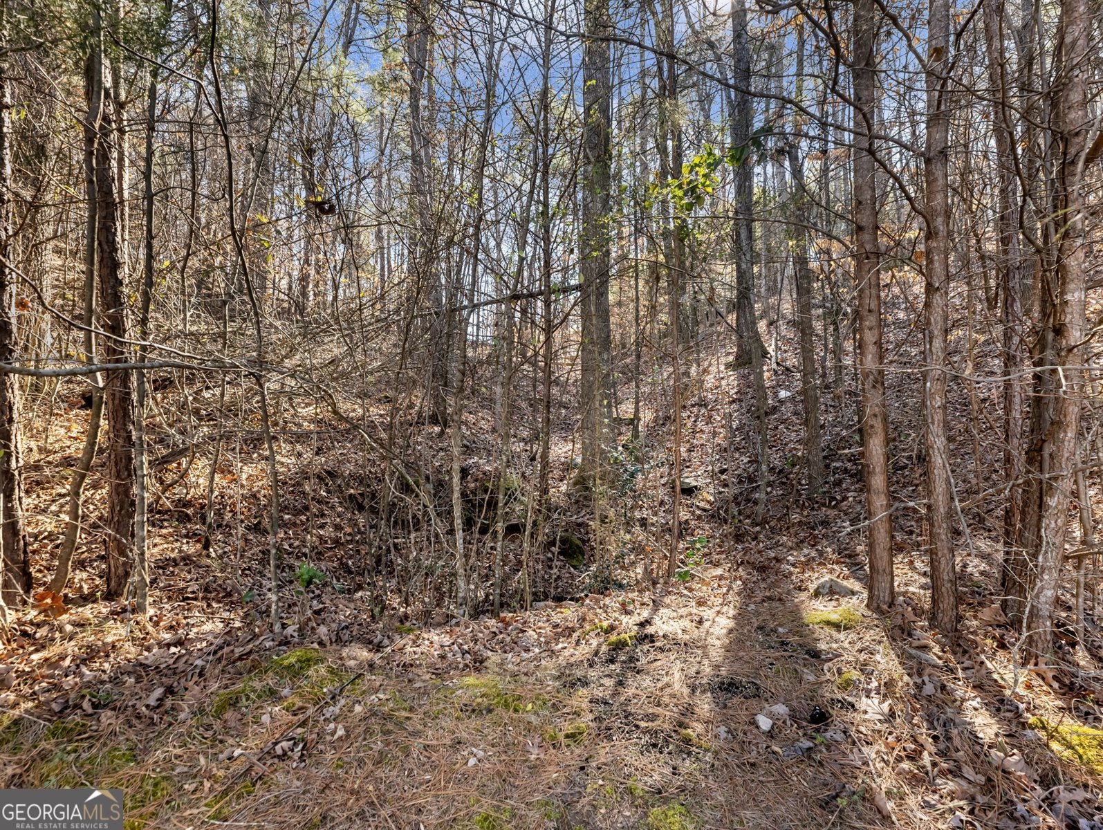 6377 Barker Station Walk Sugar Hill - Photo 39