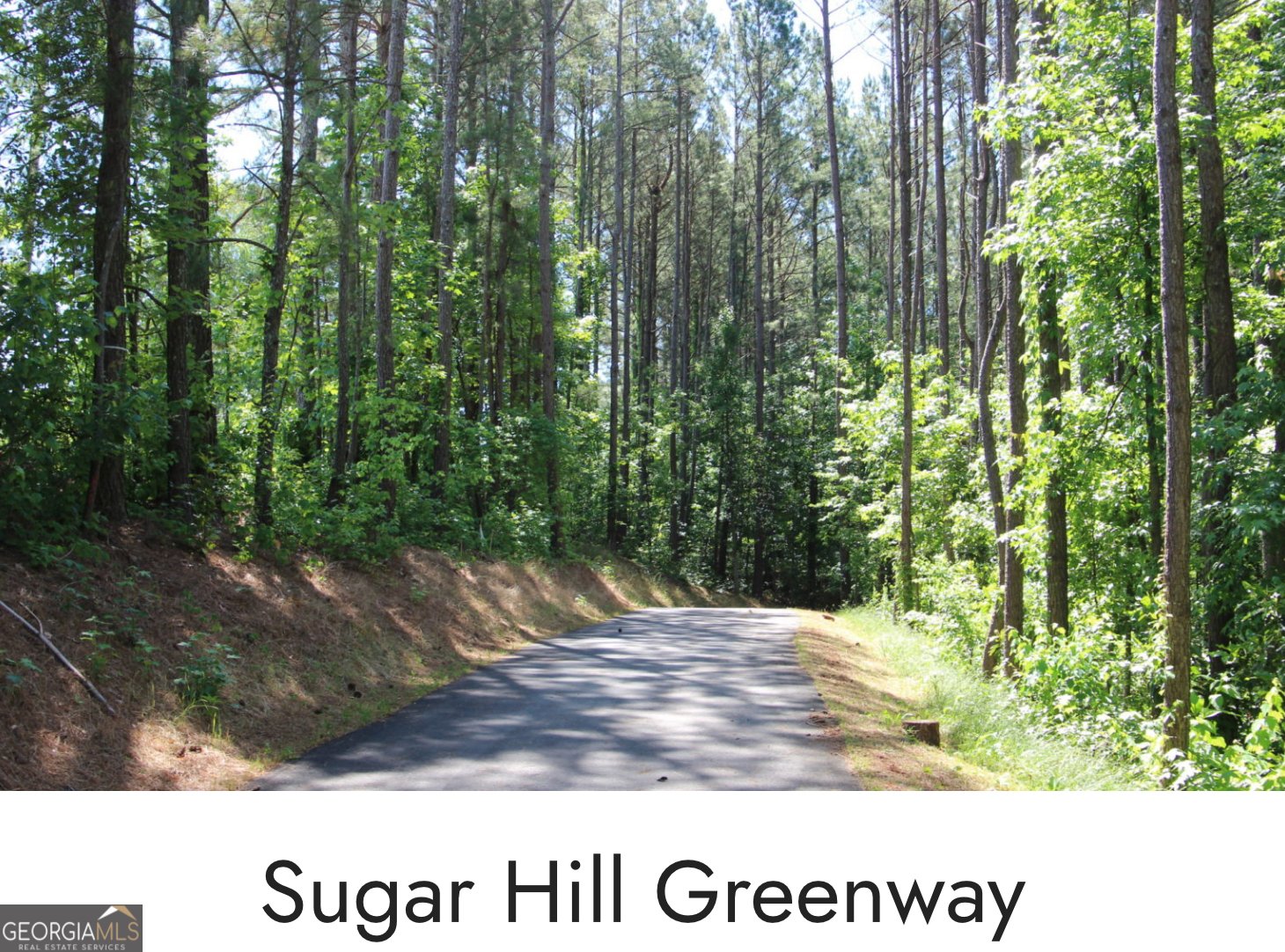 6377 Barker Station Walk Sugar Hill - Photo 43