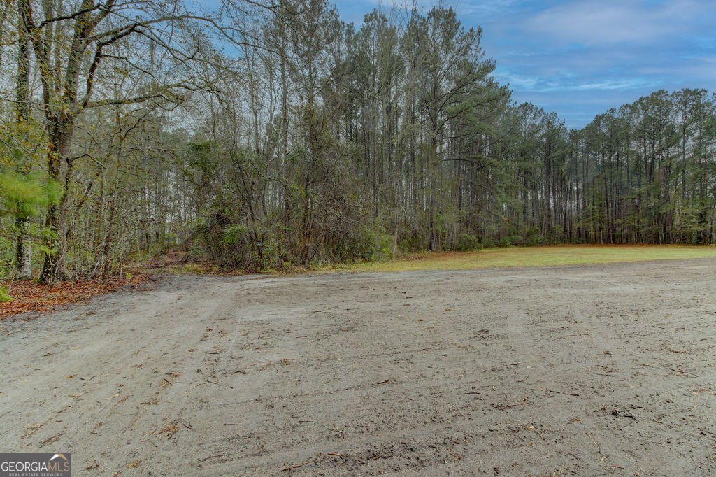 2273 GA Hwy 119 Guyton - Photo 37