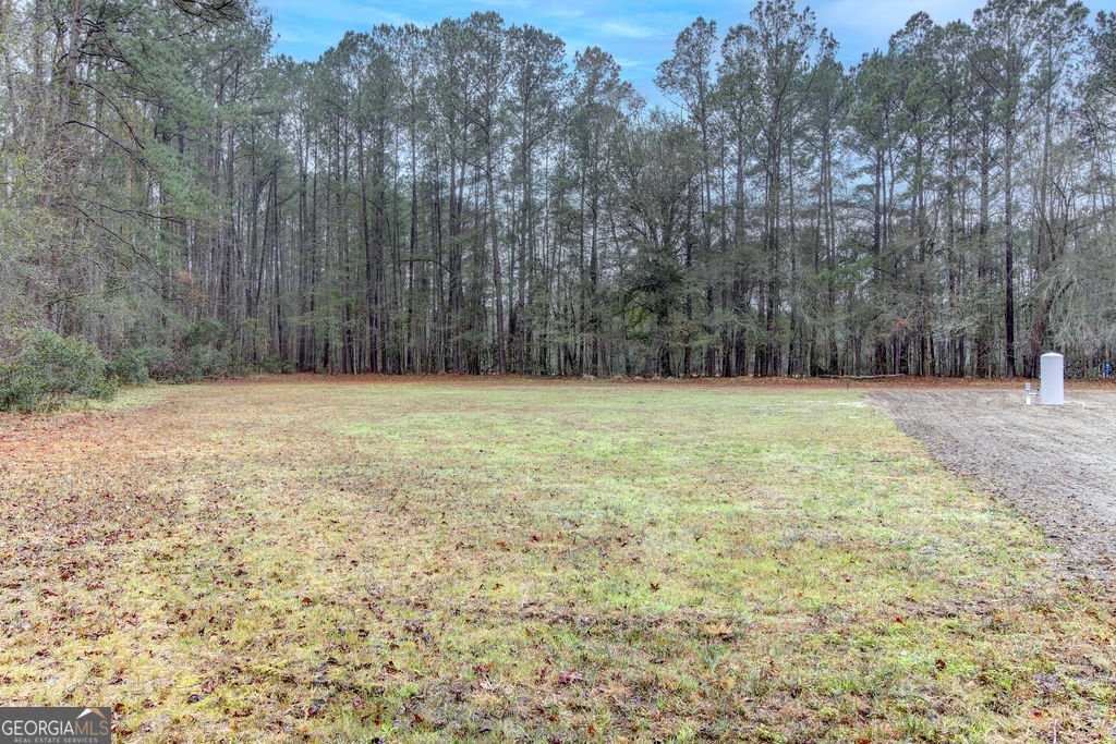 2273 GA Hwy 119 Guyton - Photo 38