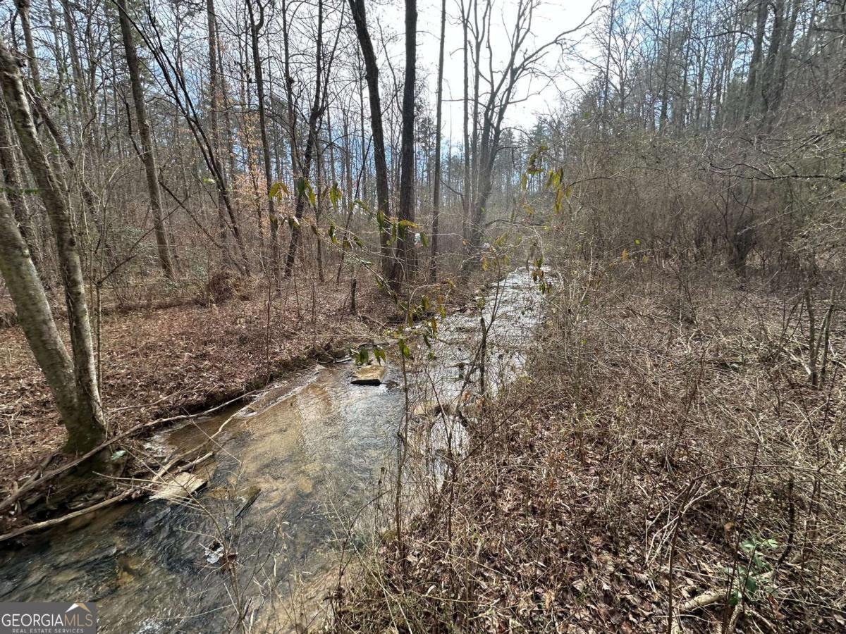 138 Rhondas Way Ellijay - Photo 21