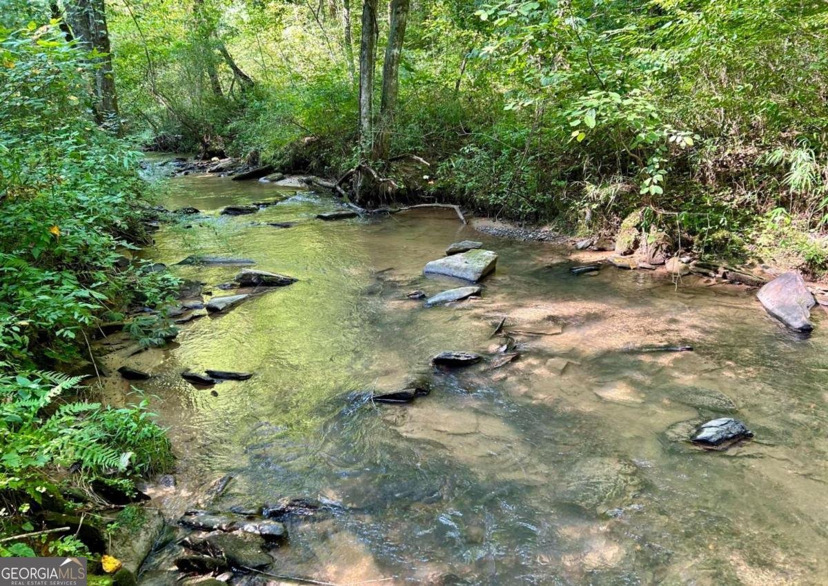 138 Rhondas Way Ellijay - Photo 28