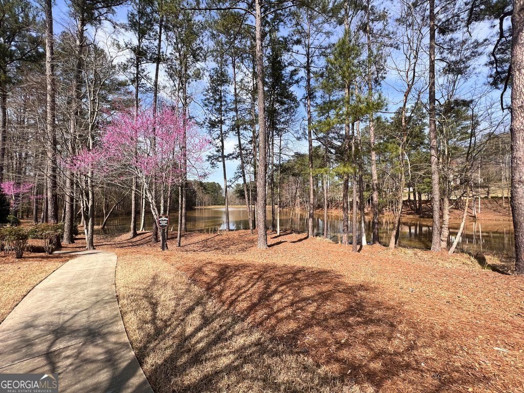 14111 Seabiscuit Milton - Photo 105