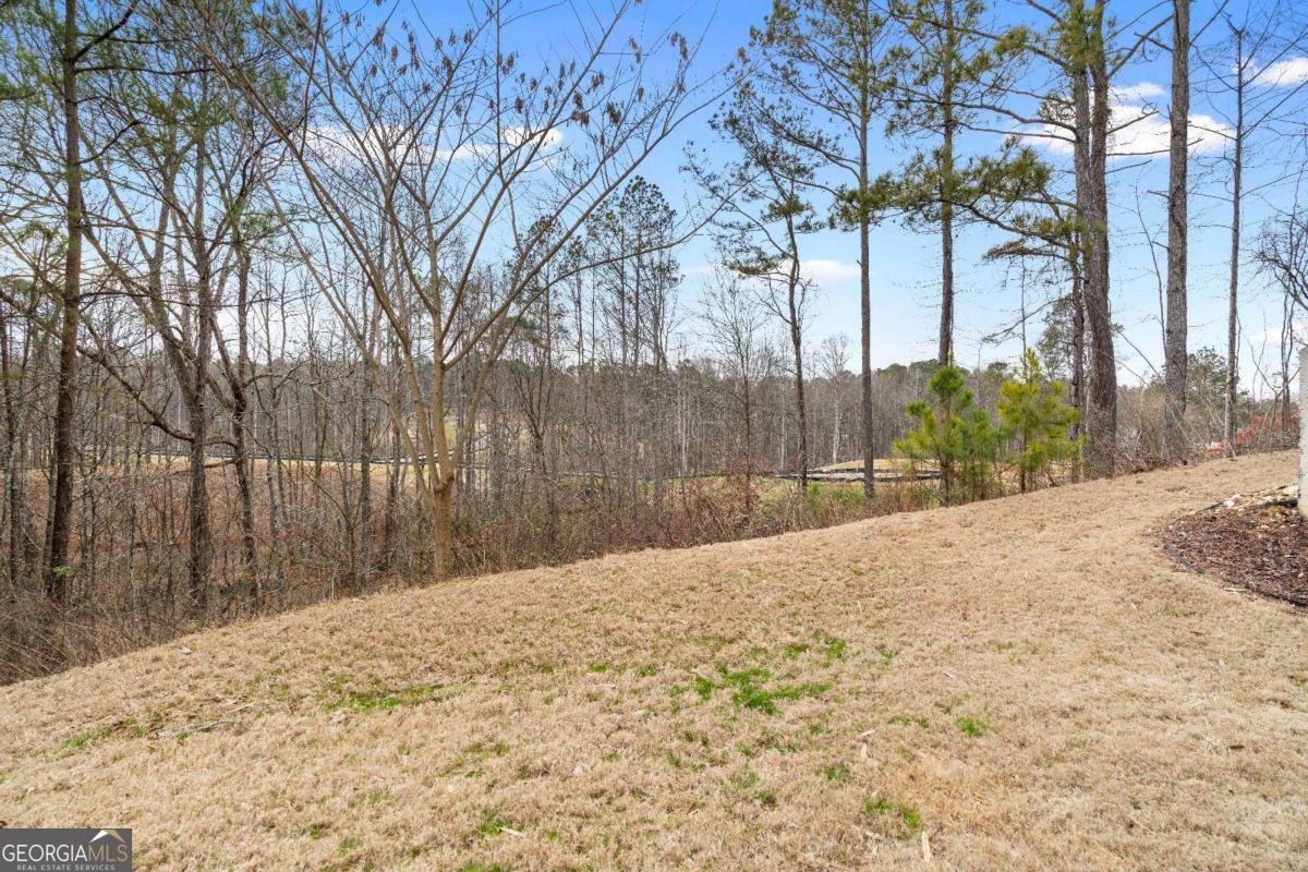 300 Winston Circle Canton - Photo 47