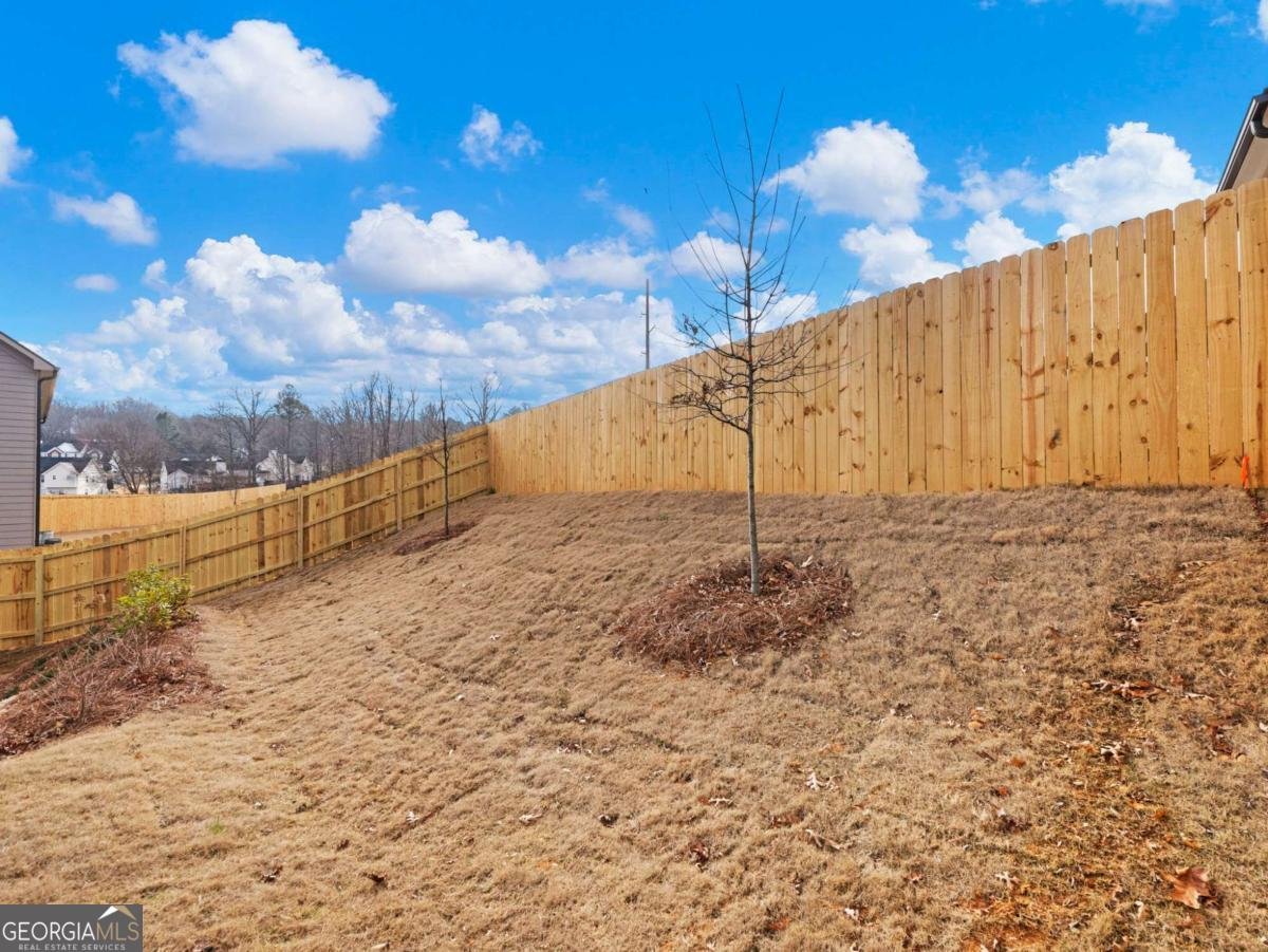 4447 Hosch Reserve Court Buford - Photo 50