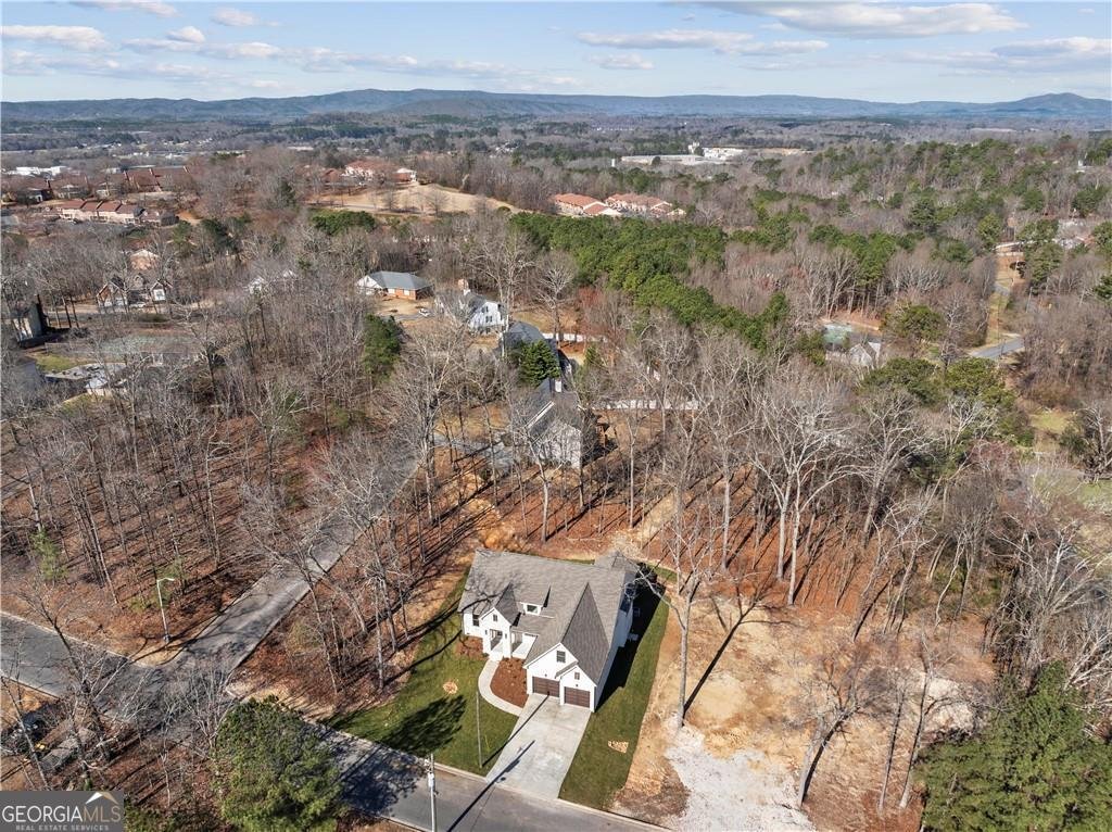 301 Windy Hill Drive Calhoun - Photo 37