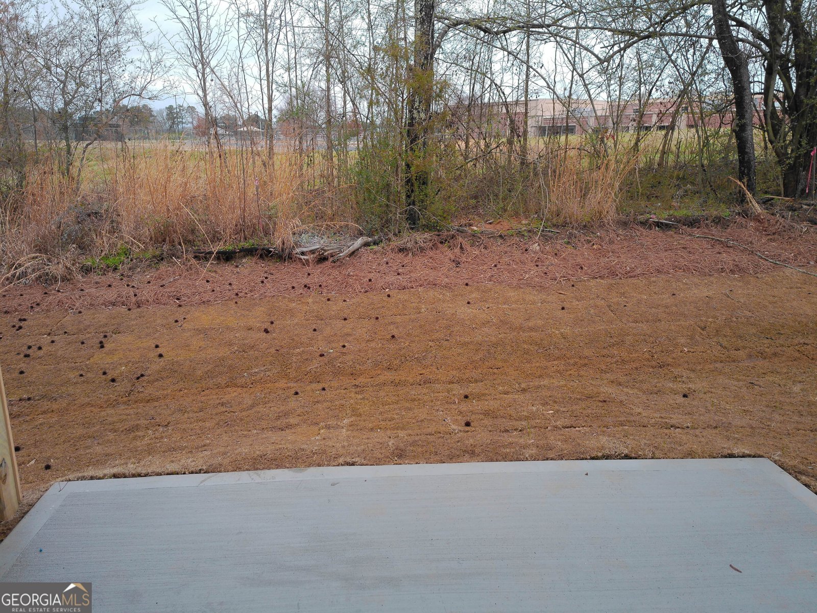 74 Shoal Court Winder - Photo 30