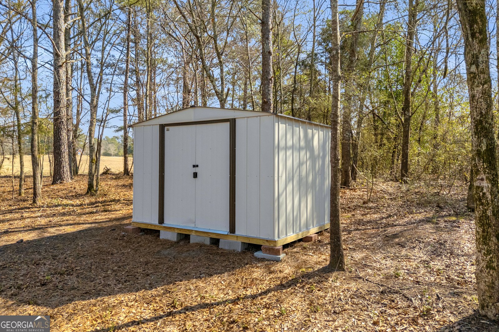 3020 Meadow Trail Loganville - Photo 65