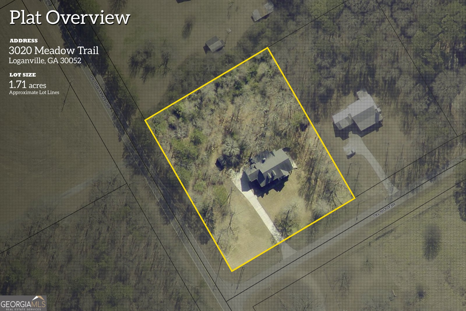 3020 Meadow Trail Loganville - Photo 68