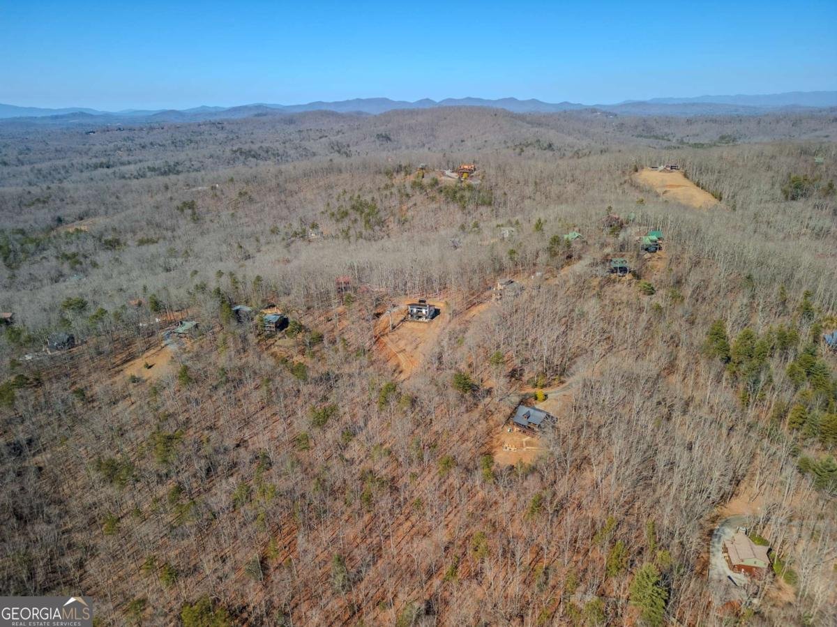 310 Wunder Bear Ridge Road Morganton - Photo 42