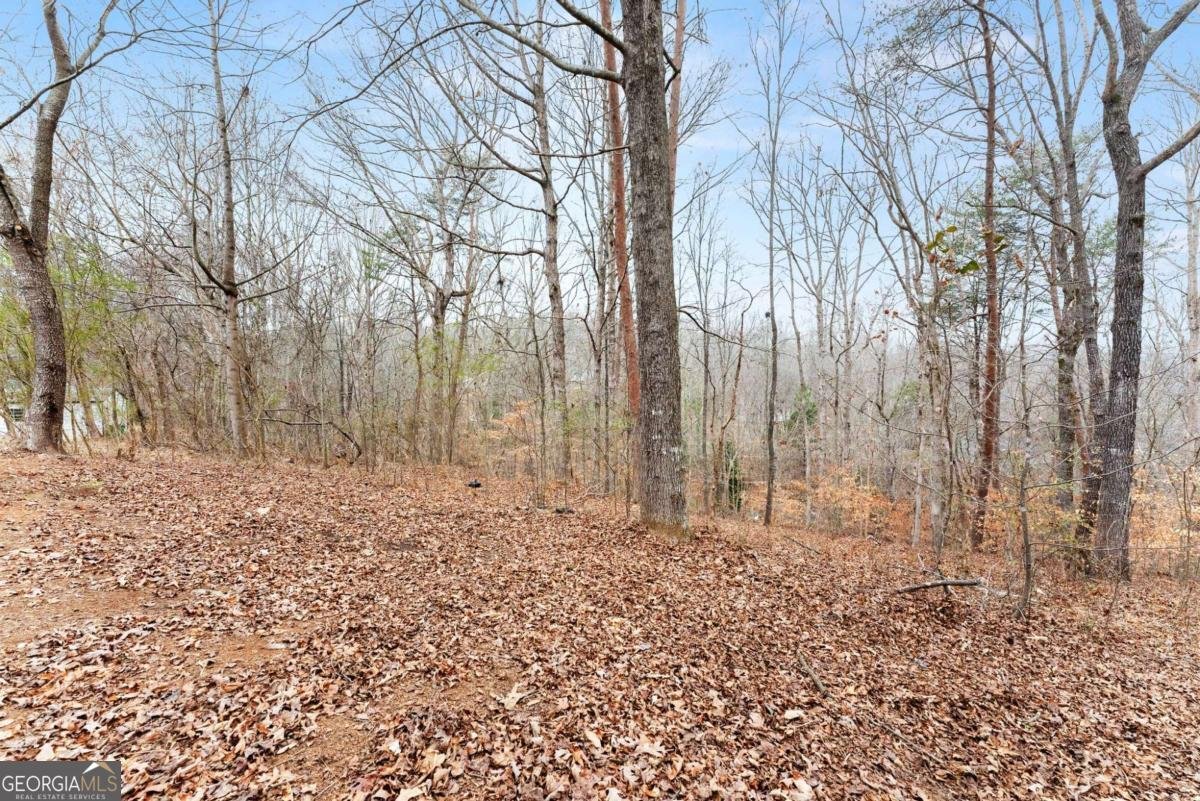 290 Silver Fox Drive Dawsonville - Photo 36