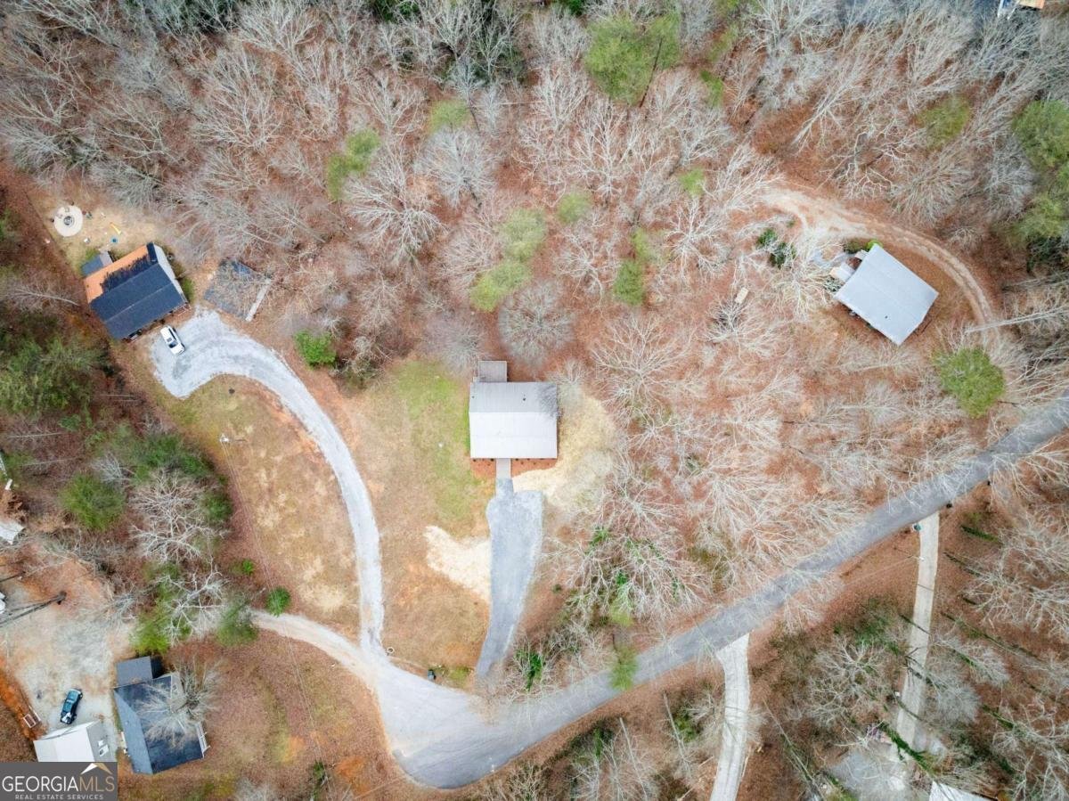 290 Silver Fox Drive Dawsonville - Photo 40