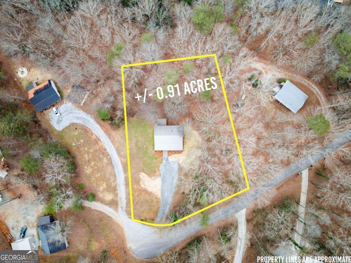 290 Silver Fox Drive Dawsonville - Photo 41