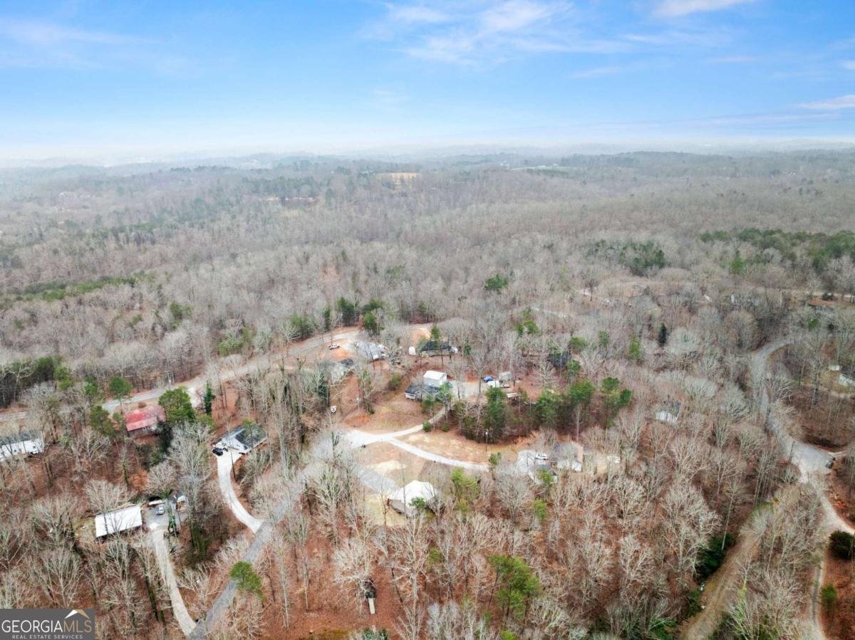 290 Silver Fox Drive Dawsonville - Photo 48