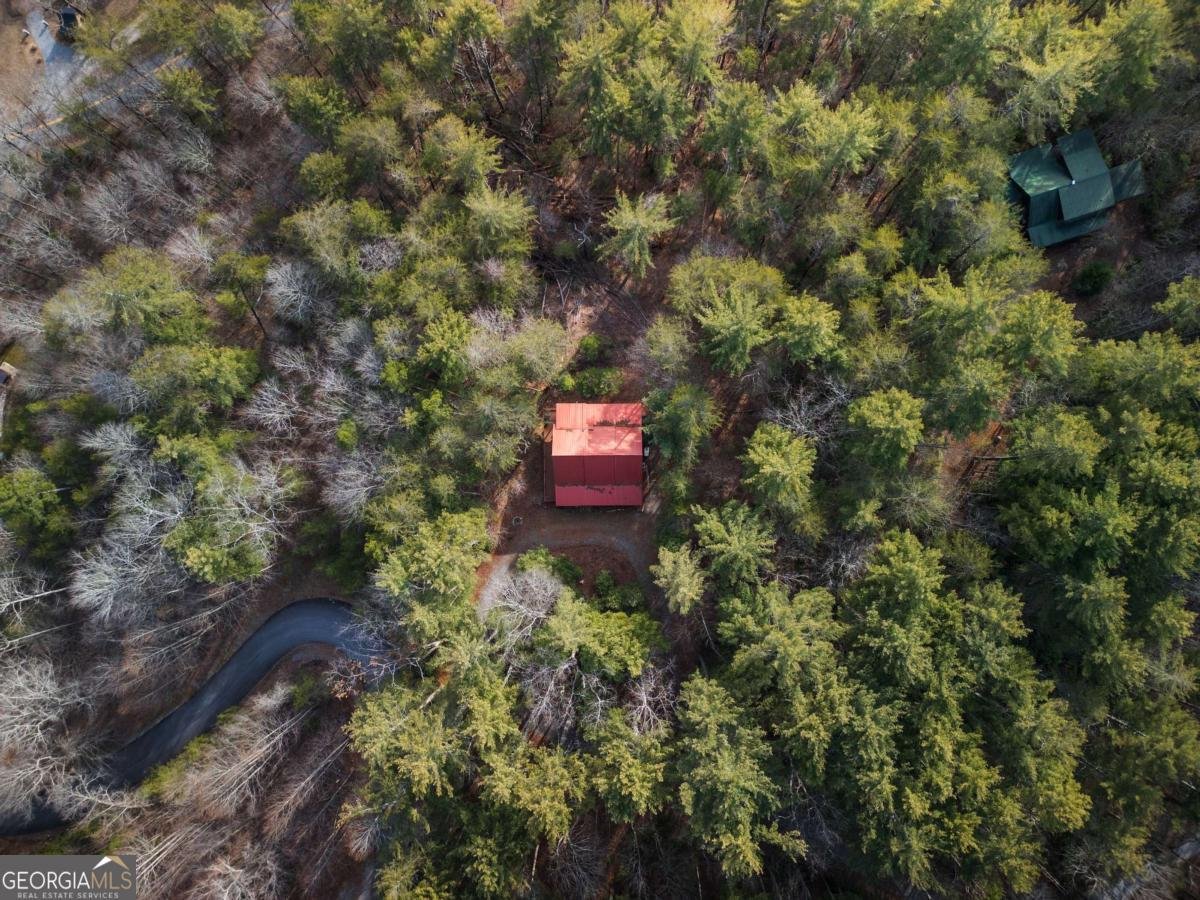 148 Dream Cove Road Blue Ridge - Photo 27