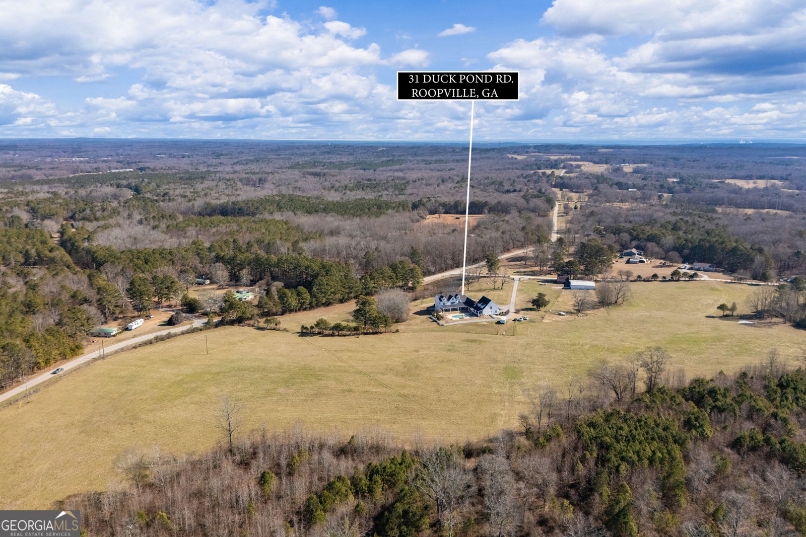 31 Duck Pond Road Roopville - Photo 30