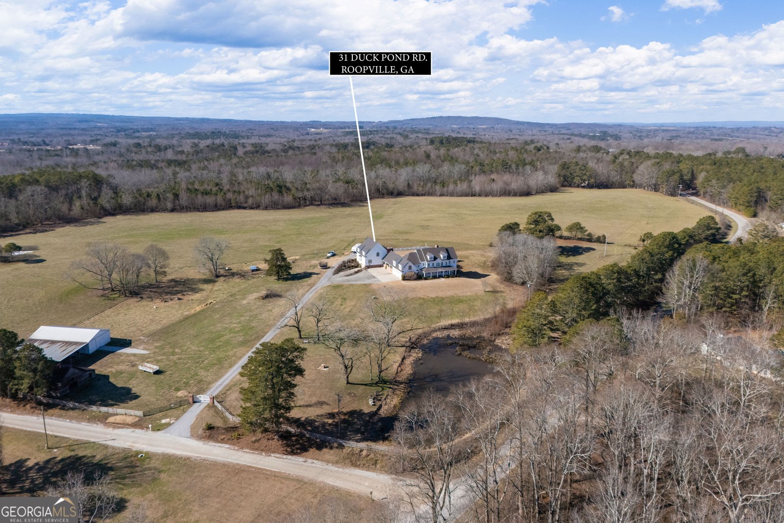 31 Duck Pond Road Roopville - Photo 34