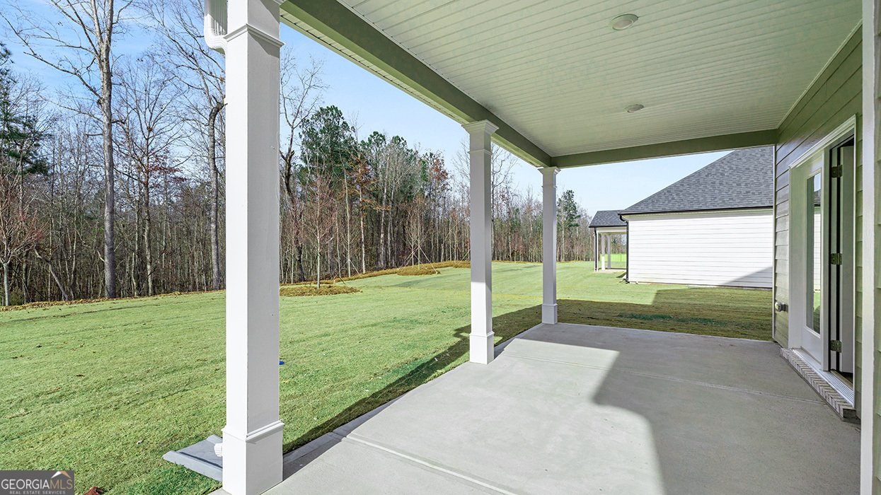 380 Staffin Drive Senoia - Photo 60