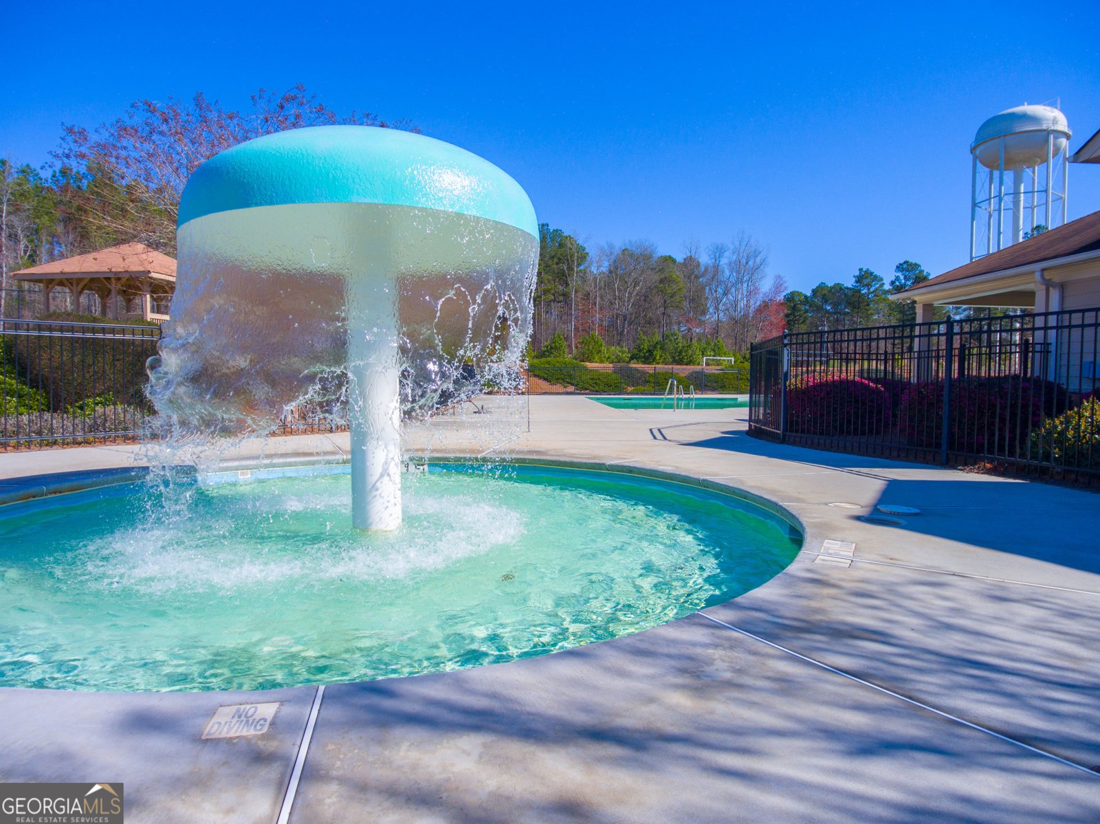 380 Staffin Drive Senoia - Photo 68