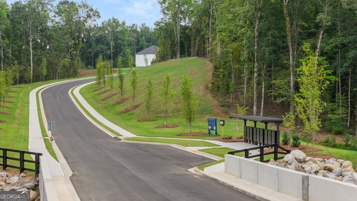 380 Staffin Drive Senoia - Photo 71