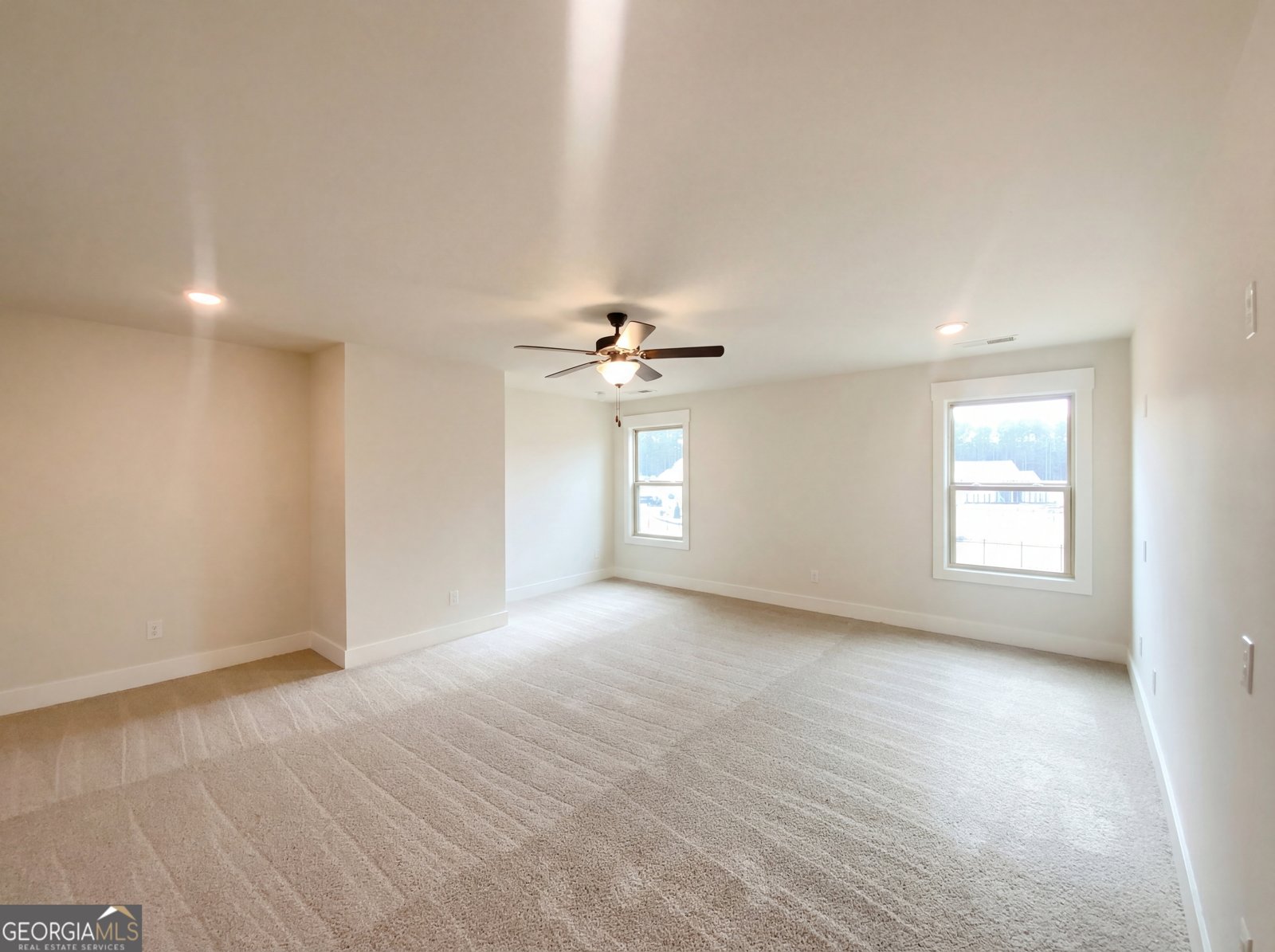 46 Ellabelle Court Senoia - Photo 21