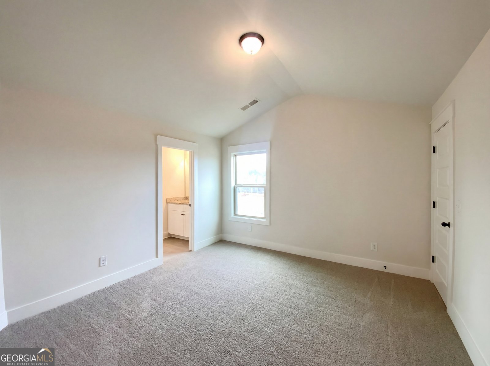 46 Ellabelle Court Senoia - Photo 26