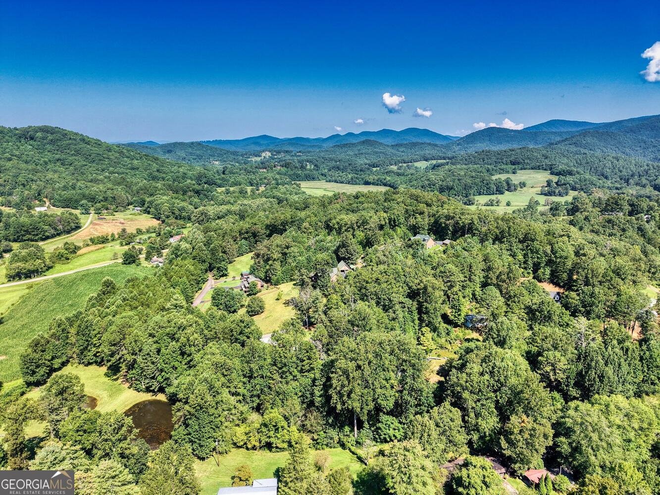 206 Gladson Lane Blairsville - Photo 51