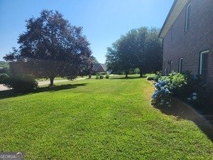 1205 Mill Creek Lane Stockbridge - Photo 45