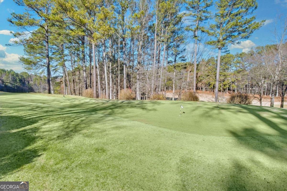 1001 Golf Estates Drive Woodstock - Photo 56