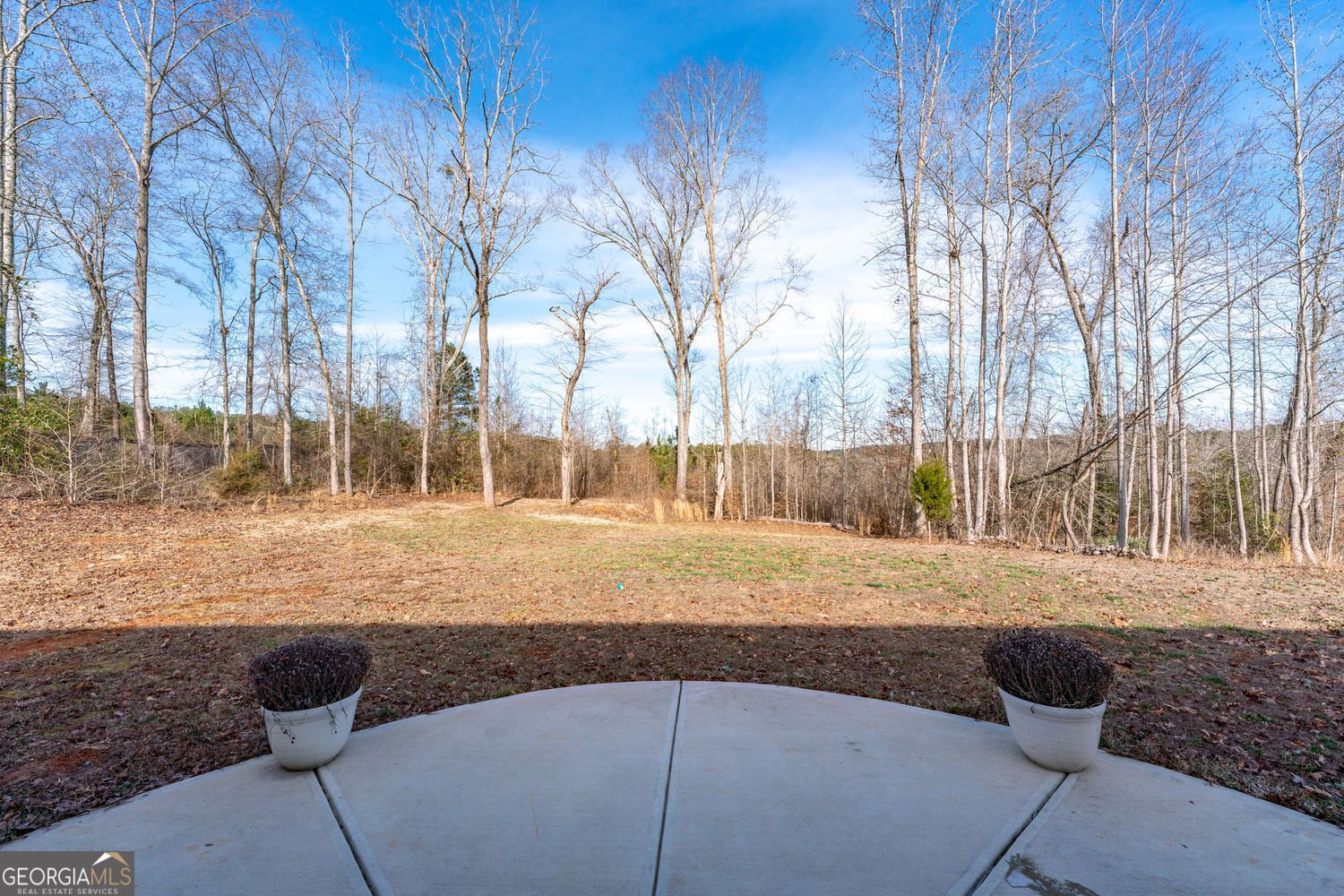 658 Alcovy River Loganville - Photo 33