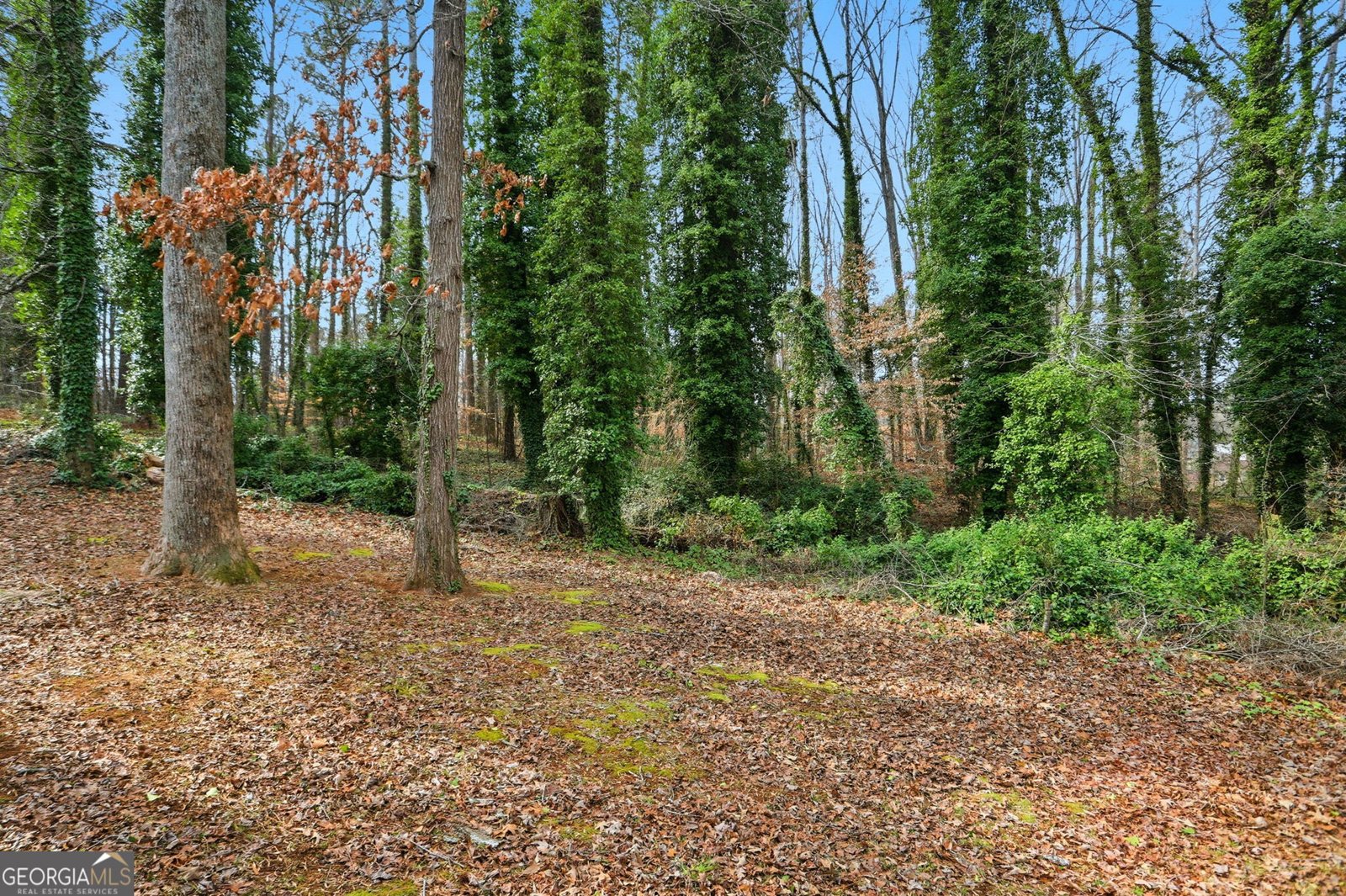 3404 Forest Hill Road Powder Springs - Photo 28