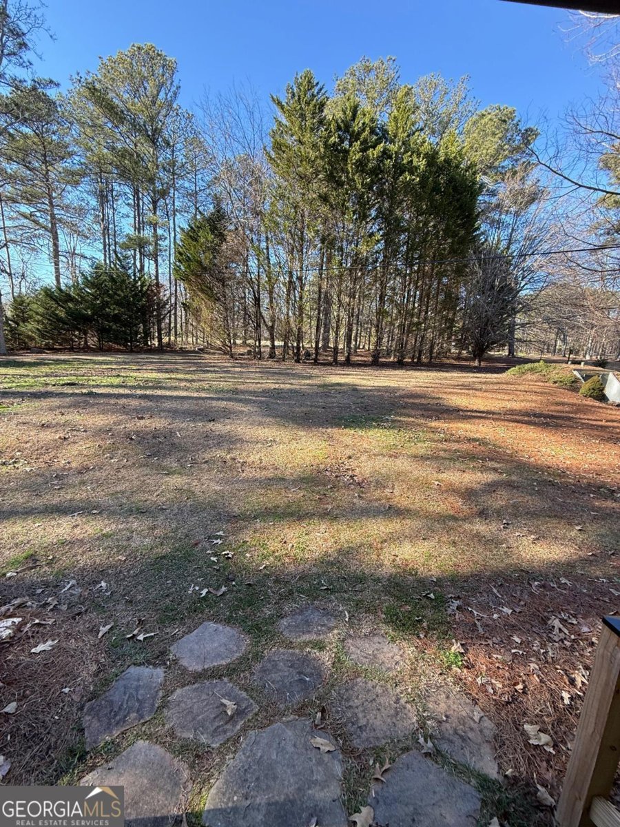 2435 Vinson Mountain Road Rockmart - Photo 26