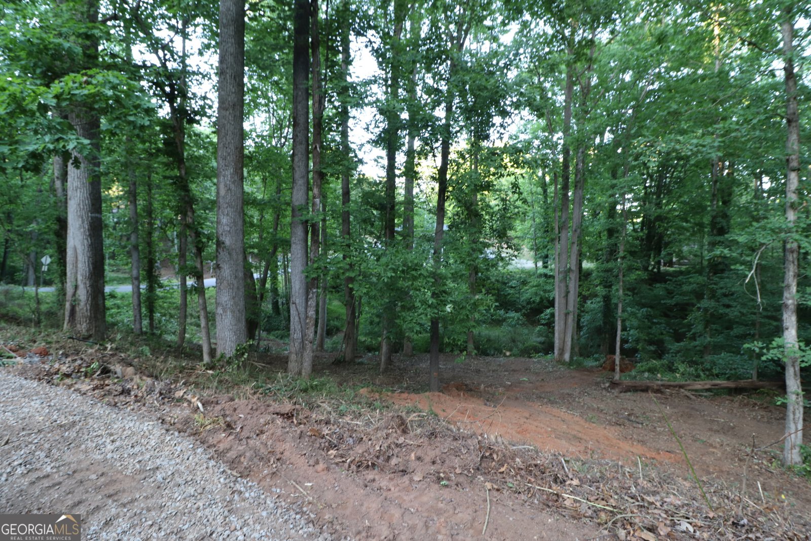4650 Perry Road Gainesville - Photo 56