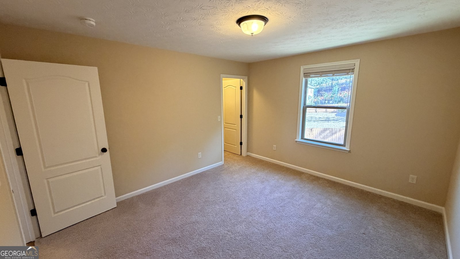 162 Foggy Cedar Drive Hamilton - Photo 15