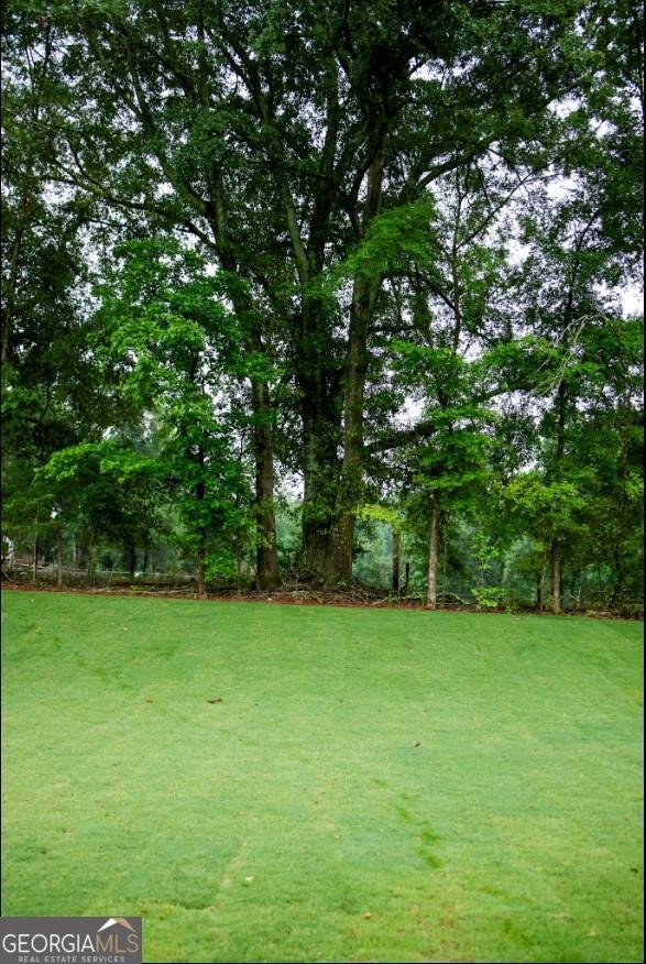 386 Red Dragon Drive Jefferson - Photo 19