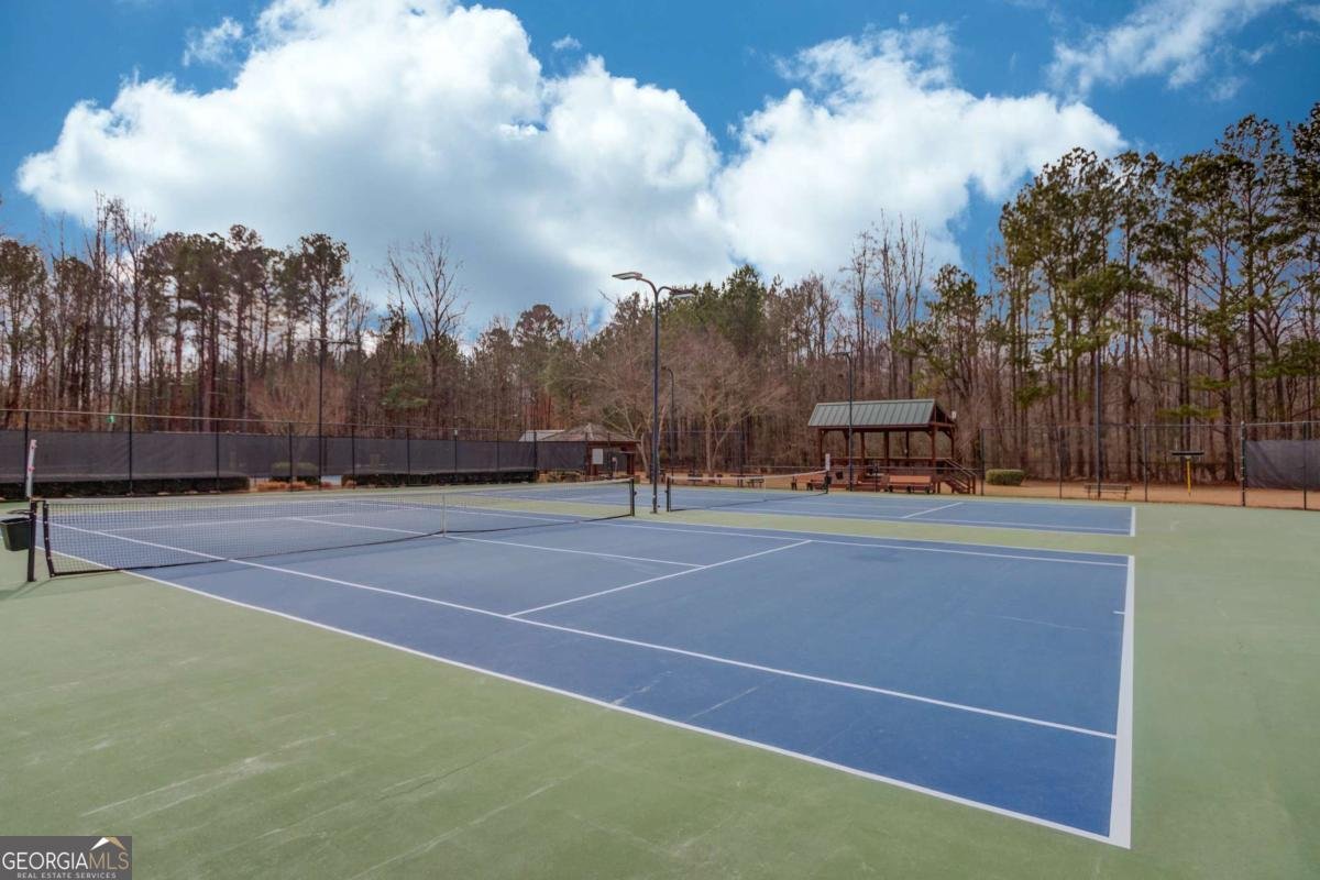 311 Spring Willow Drive Sugar Hill - Photo 67