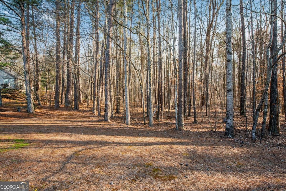 132 Churchcliff Drive Woodstock - Photo 34