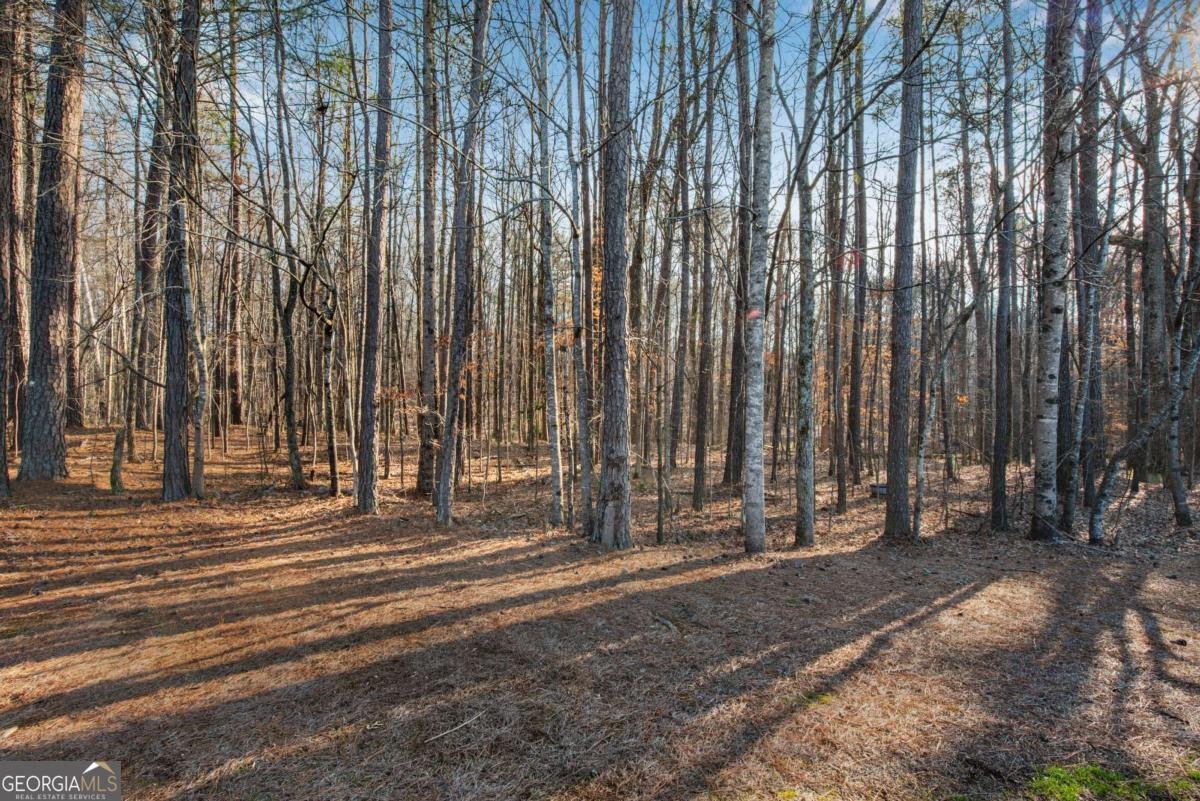 132 Churchcliff Drive Woodstock - Photo 36