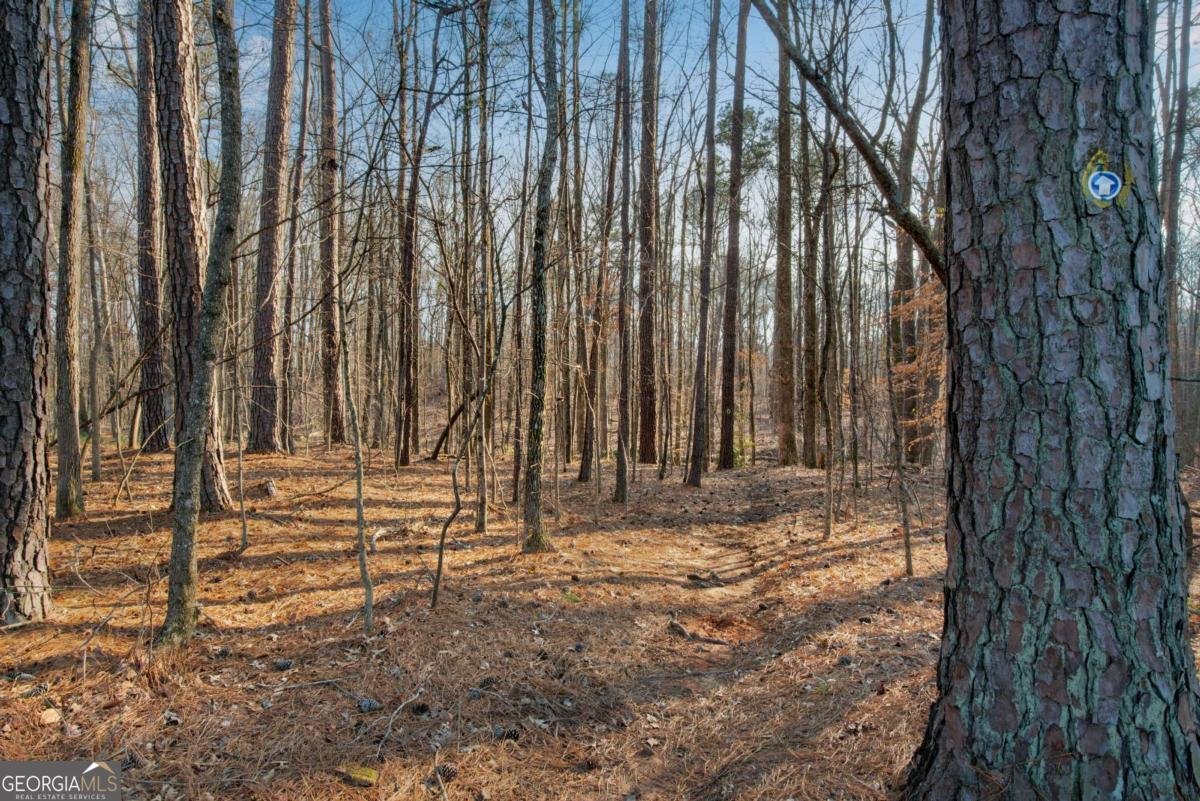 132 Churchcliff Drive Woodstock - Photo 42