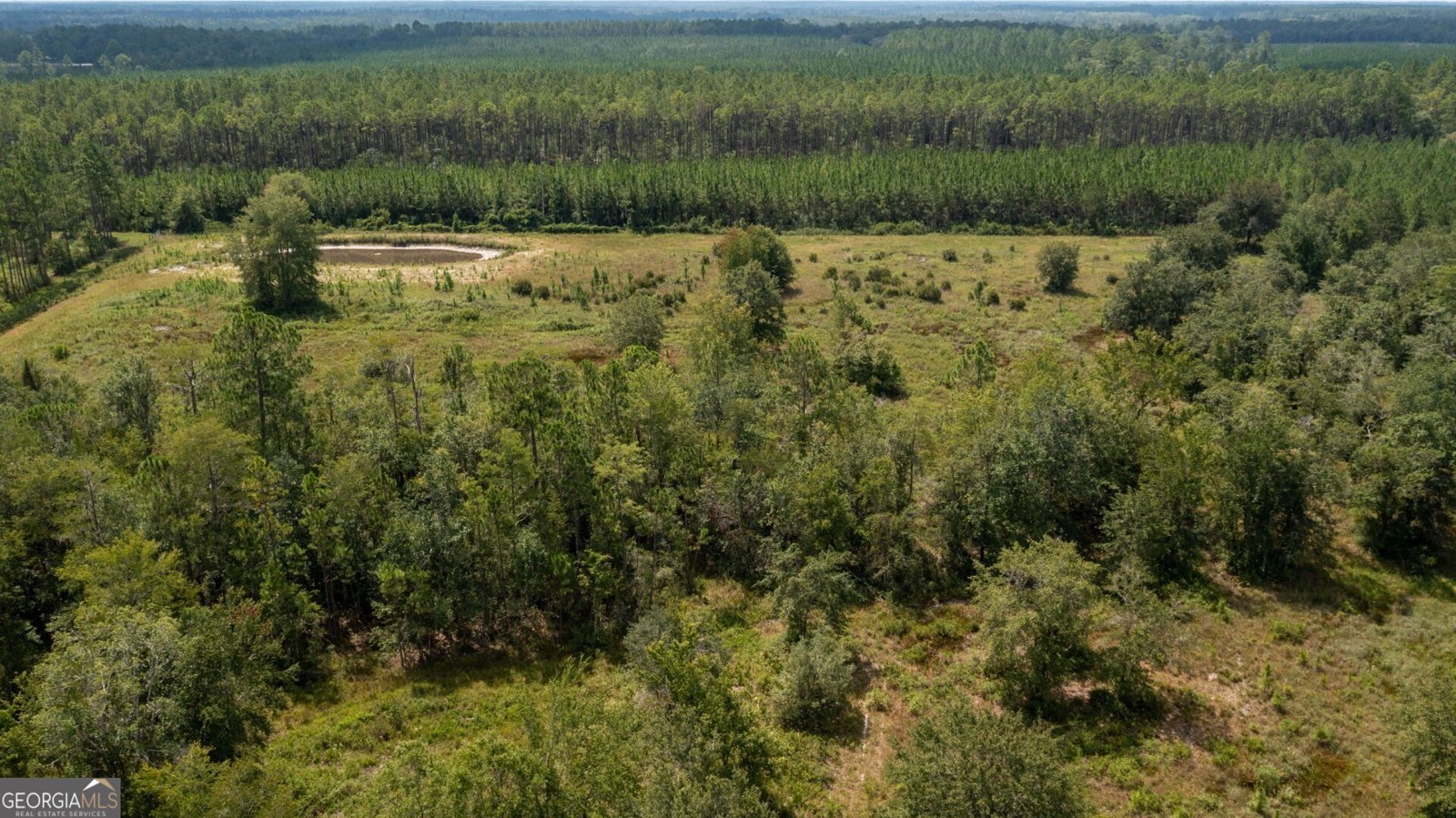 120 John H Carter III Lane Folkston - Photo 39