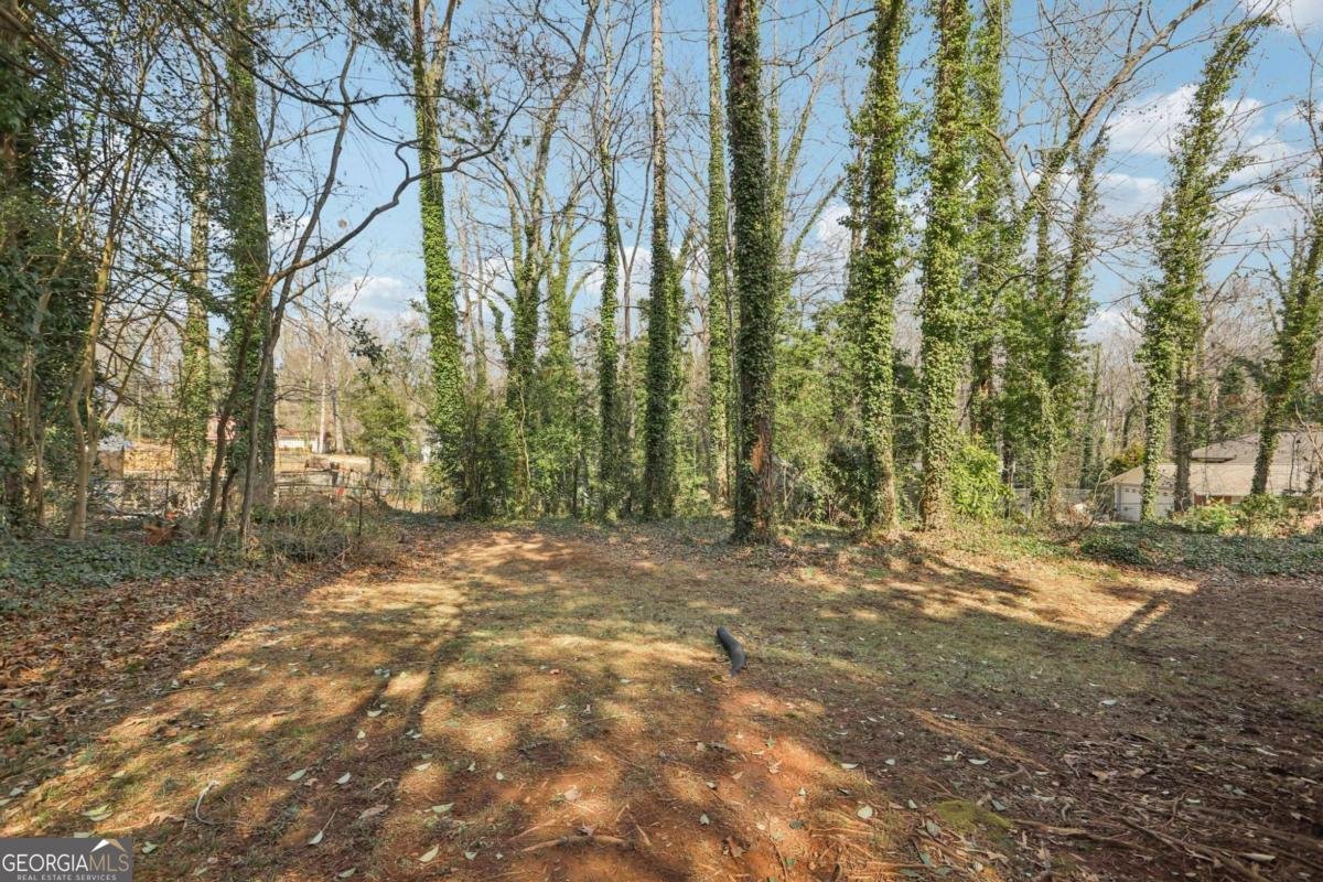 4014 William Mary Court Decatur - Photo 23