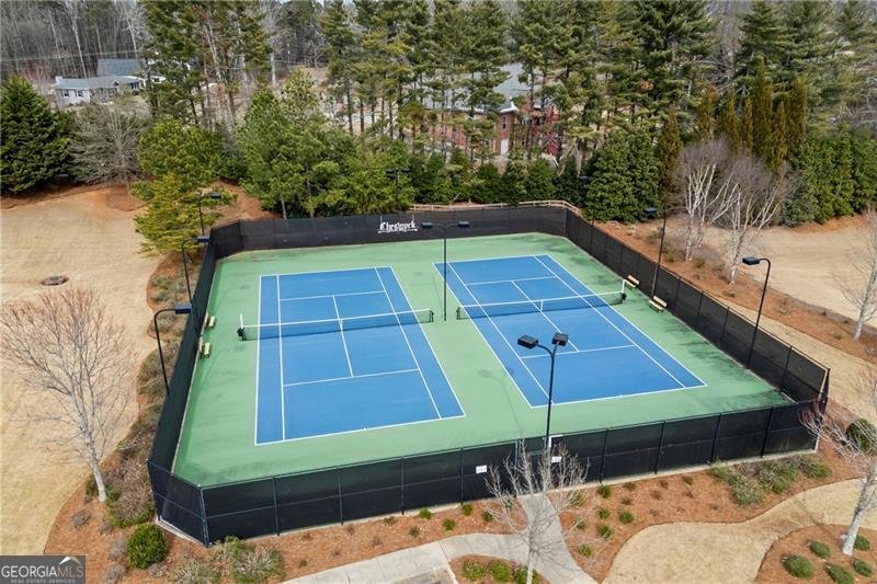 8910 Ellesmere Drive Cumming - Photo 120