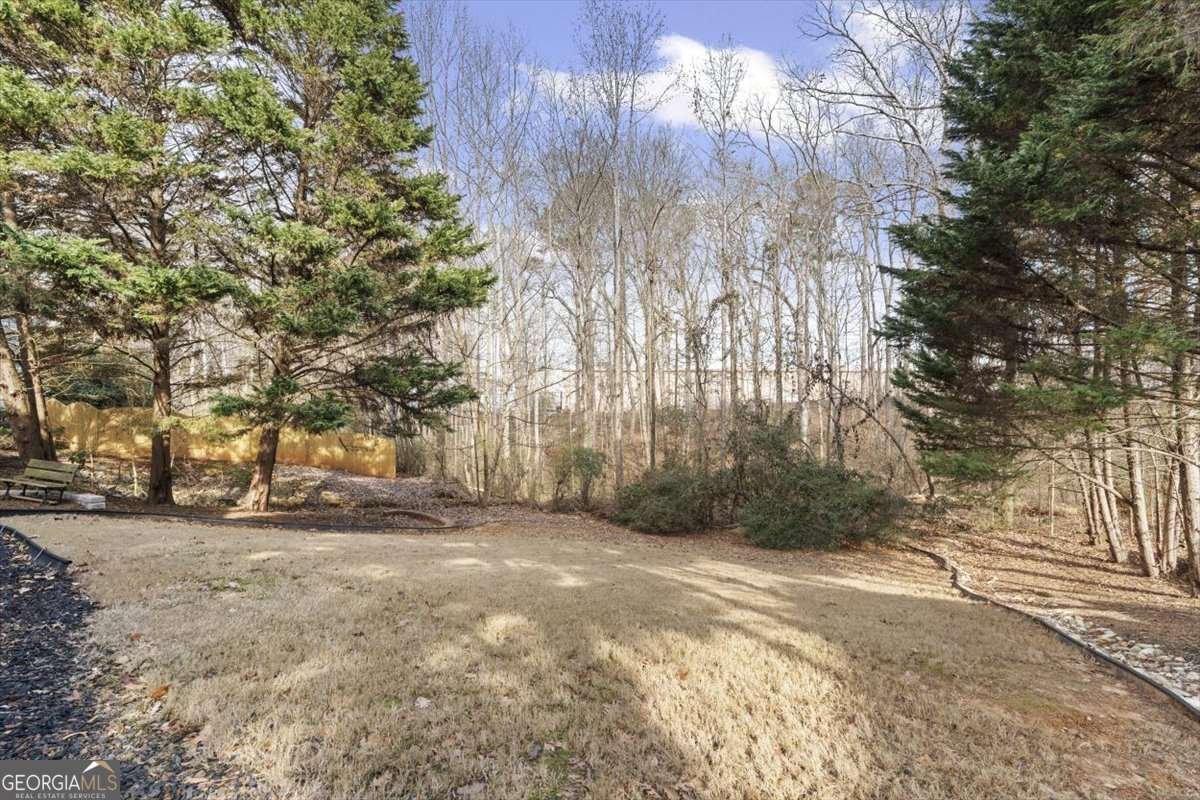 4542 Amysaye Walk Acworth - Photo 48