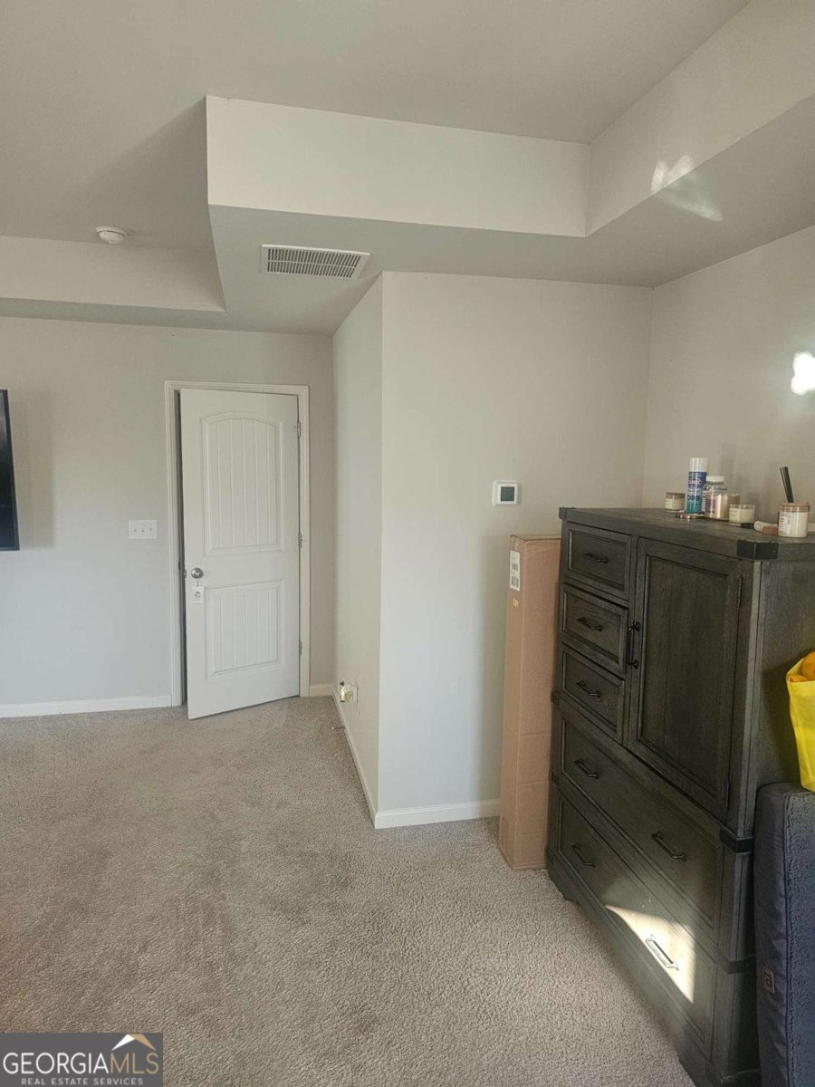 508 Palmetto Oaks Trail Palmetto - Photo 8