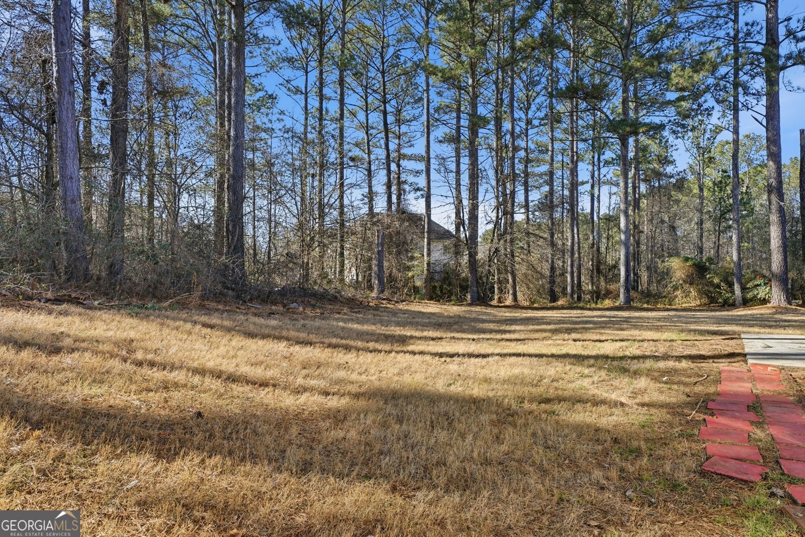 2520 Sagemore Court Conyers - Photo 42