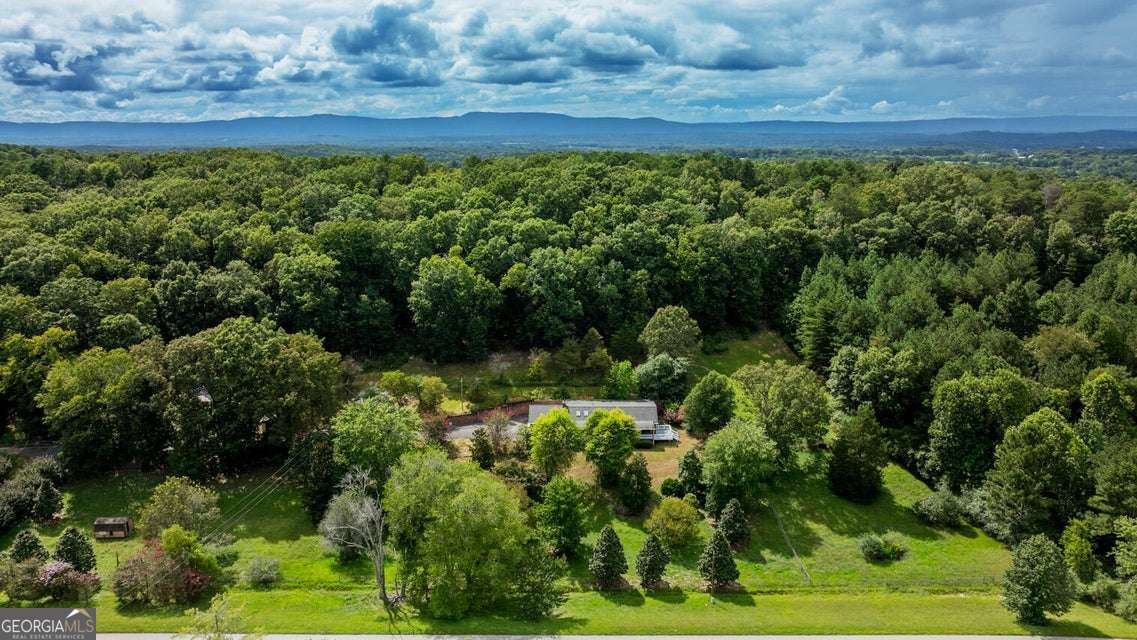 788 Long Hollow Road Rock Spring - Photo 41