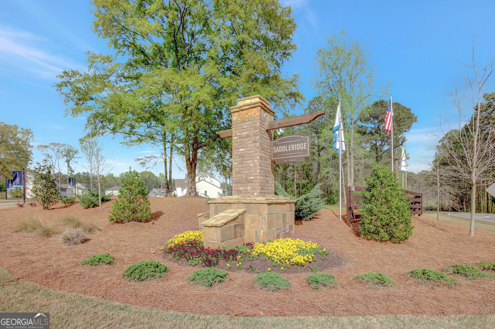 196 Saddleridge Tr Senoia - Photo 57